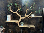 Natural Wood Bookcase Tree Bookshelf Custom Bookshelf Handmade Furniture for Living Room Decor
